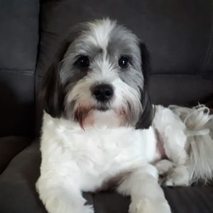 Meet your Posher, Cheryl